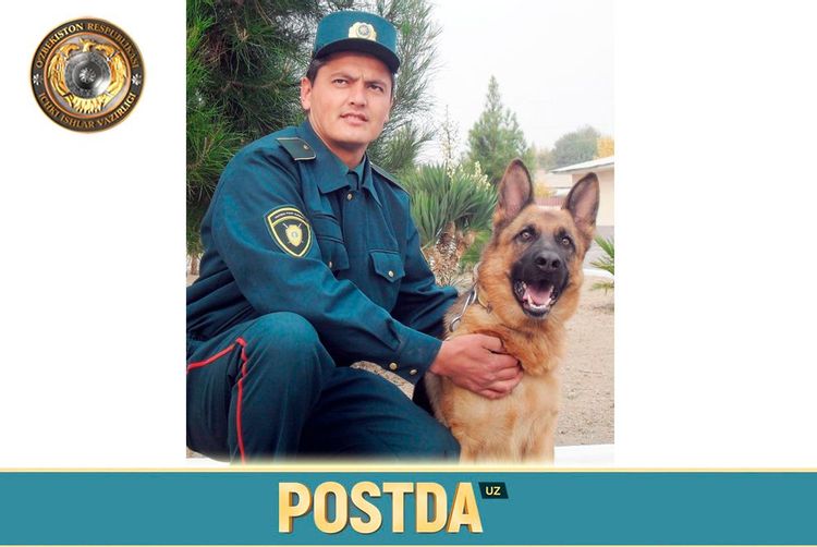 Сафдор искандар алимов