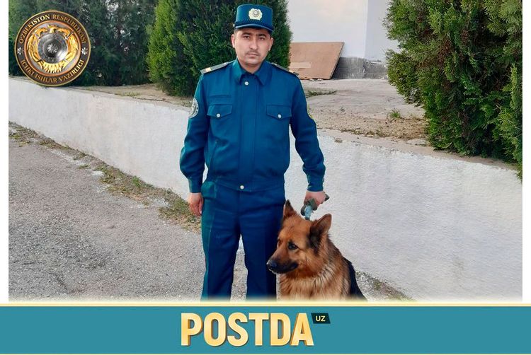 Кун қаҳрамони: катта сержант ҳусан бўрибоэв