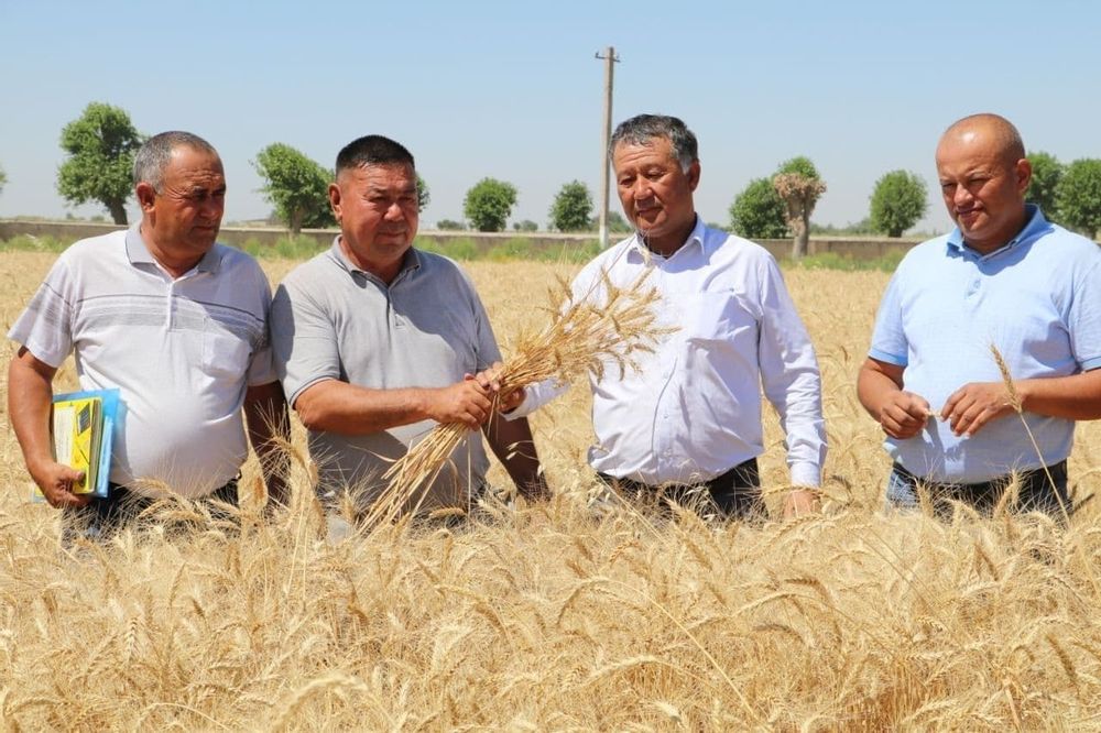 “Gʻalla–2021”: GʻALLAKORLARGA YELKADOSN BOʻLIB...