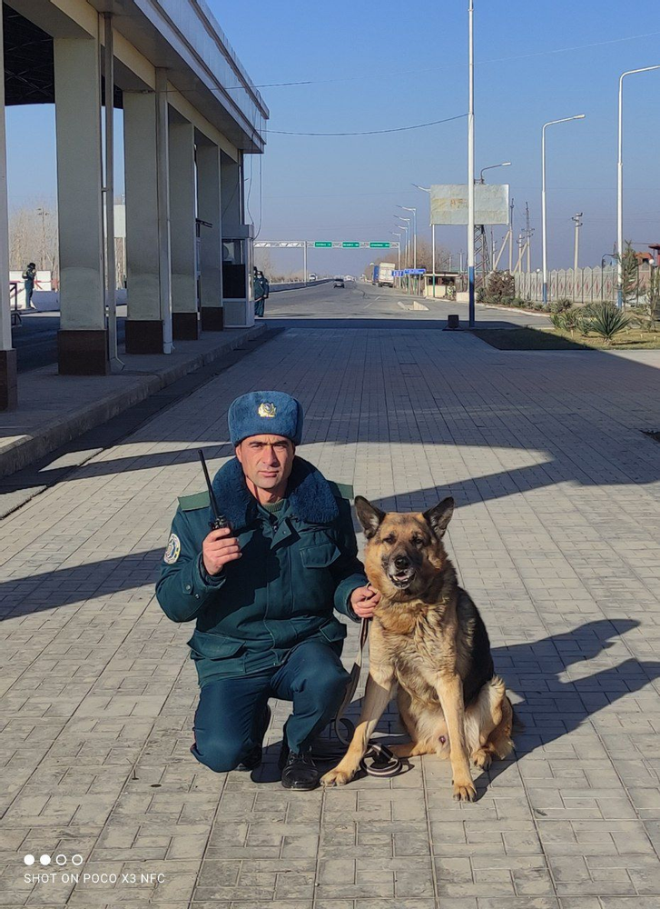 Safdor bahrom beshimov