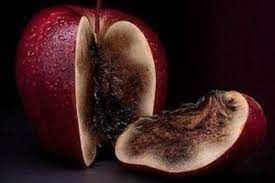 Ўринсиз ҳасад