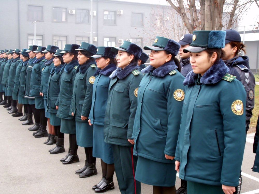 Саф кўриги