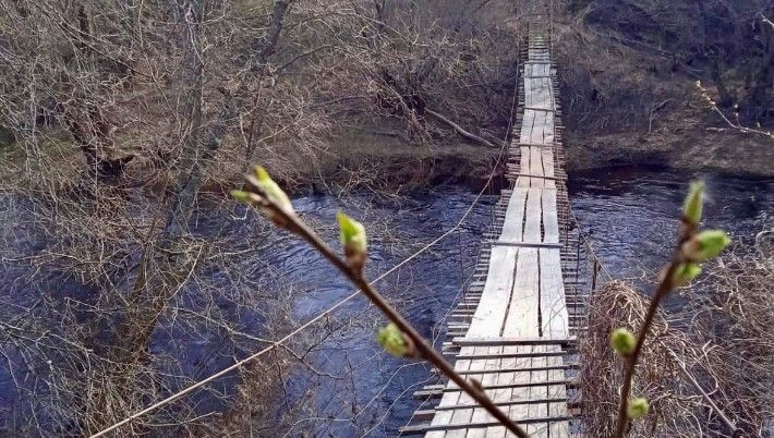Бажо келтирилган истак