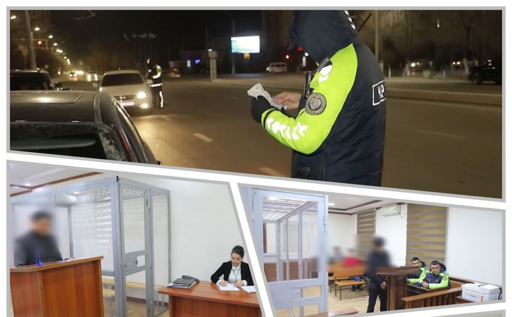Қонунбузарларга cнора кўрилди