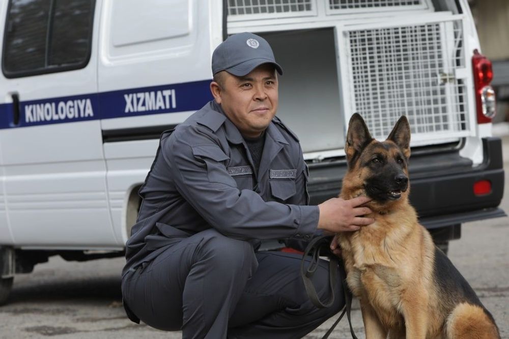 Ziyrakligi tufayli