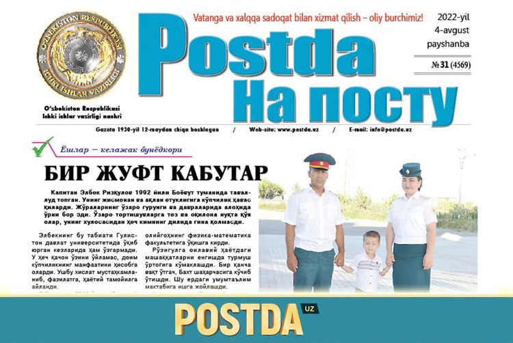 Bir juft kabutar