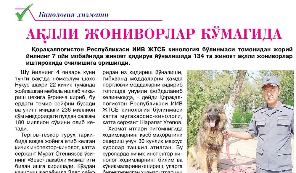Ақлли жониворлар кўмагида